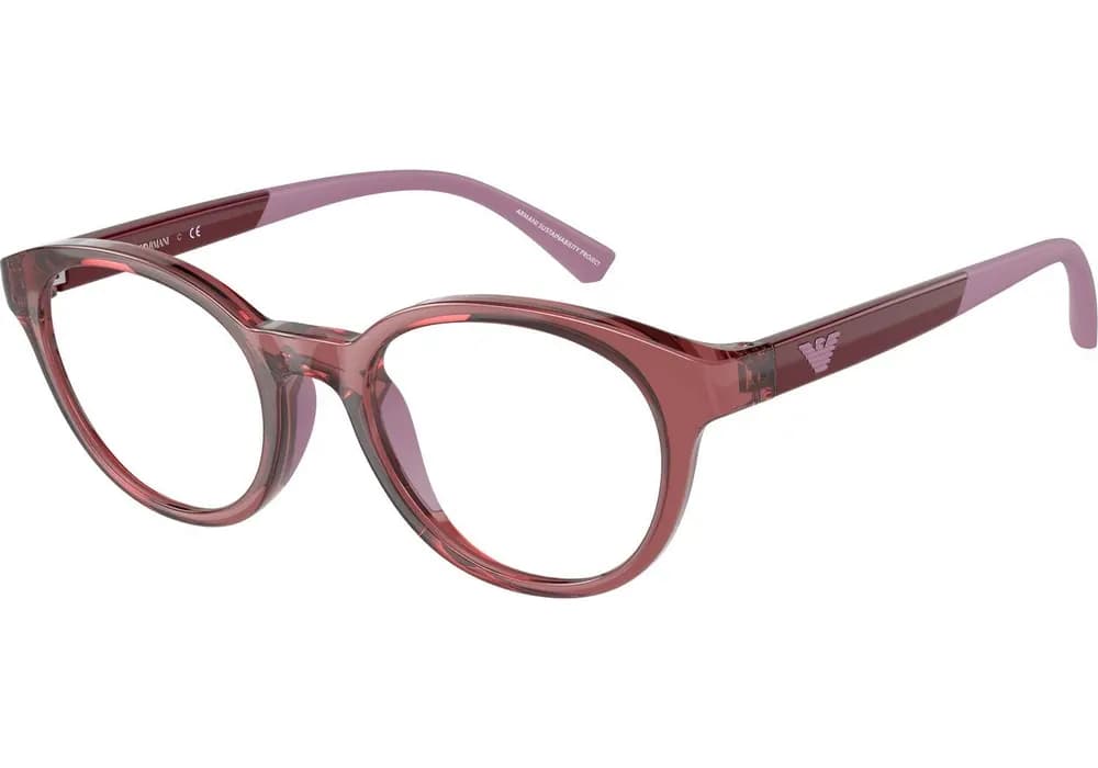 Emporio Armani Kids EA 3205.